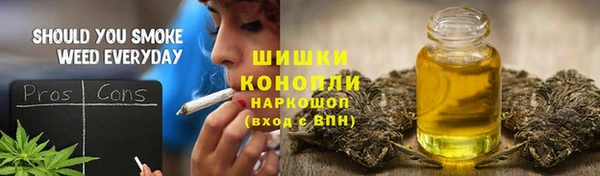 сатива Верхний Тагил