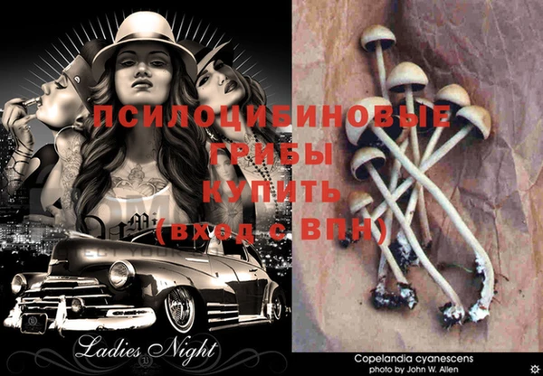 PSILOCYBIN Ивангород