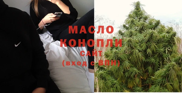 сатива Верхний Тагил