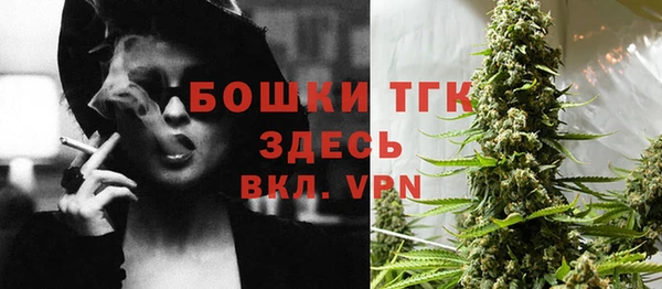 сатива Верхний Тагил