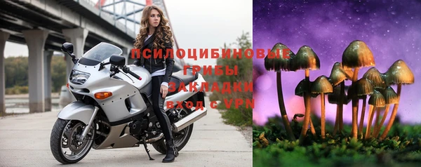 сатива Верхний Тагил
