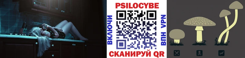 Псилоцибиновые грибы MAGIC MUSHROOMS  Катайск 